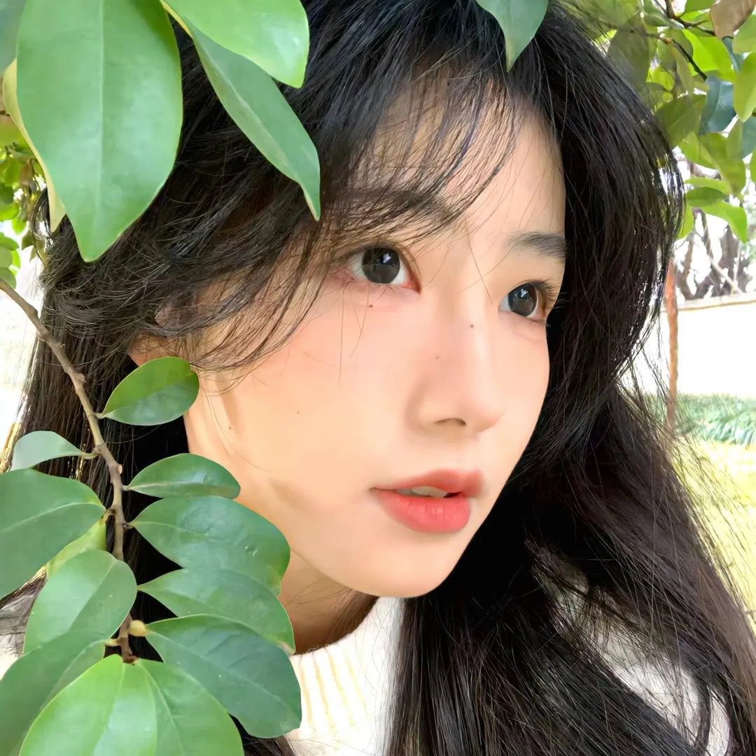 红尘 高清在线观看封面