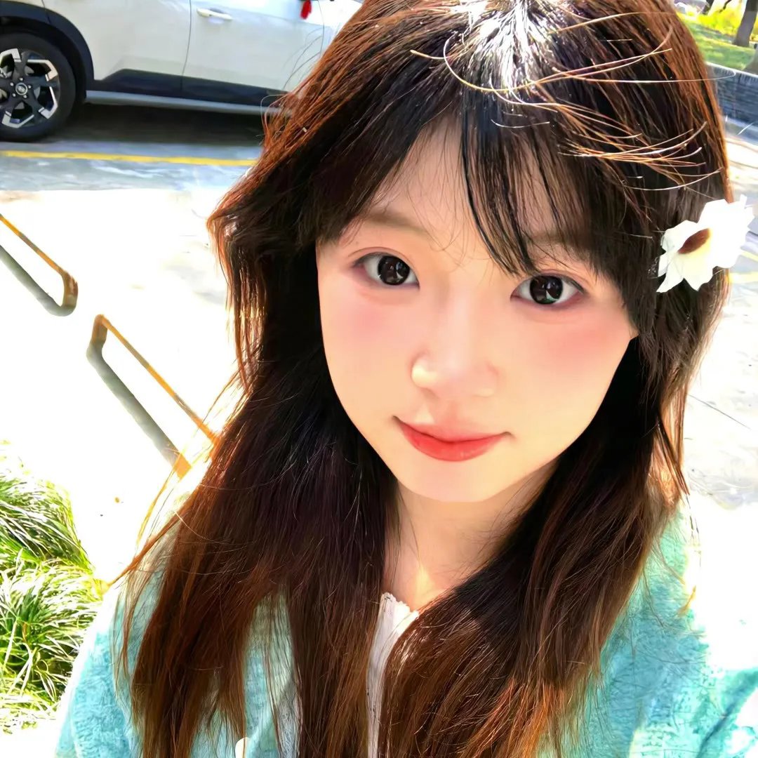 全世界最美的女孩 高清在线观看封面